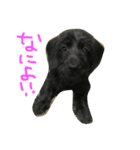 pino is friends（個別スタンプ：2）