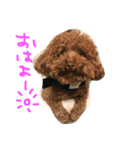 pino is friends（個別スタンプ：12）