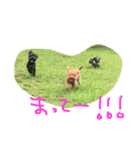 pino is friends（個別スタンプ：16）