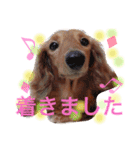 アップルと時々ミルク（個別スタンプ：21）