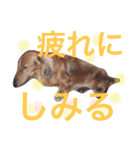 アップルと時々ミルク（個別スタンプ：26）