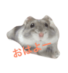 まるの1日（個別スタンプ：1）