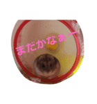 まるの1日（個別スタンプ：2）