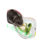 まるの1日（個別スタンプ：4）
