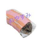 まるの1日（個別スタンプ：6）