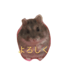まるの1日（個別スタンプ：8）