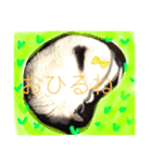 猫のたまくん♪♪（個別スタンプ：13）