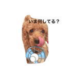 ワンダフルな犬（個別スタンプ：3）