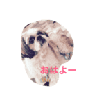 ワンダフルな犬（個別スタンプ：4）
