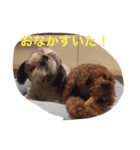 ワンダフルな犬（個別スタンプ：7）