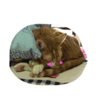 My Name is Pluto.（個別スタンプ：8）