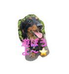 小次郎と申します✌︎（個別スタンプ：4）