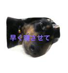 小次郎と申します✌︎（個別スタンプ：5）
