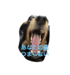 小次郎と申します✌︎（個別スタンプ：23）