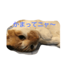 ゆかいな猫たち！！（個別スタンプ：4）