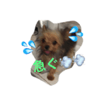 chiwa＆yo-chiwa.family（個別スタンプ：8）