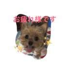 chiwa＆yo-chiwa.family（個別スタンプ：21）