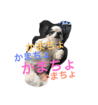 chiwa＆yo-chiwa.family（個別スタンプ：23）