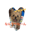 chiwa＆yo-chiwa.family（個別スタンプ：24）
