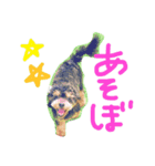 cute dog reon（個別スタンプ：1）