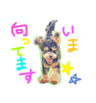 cute dog reon（個別スタンプ：2）