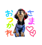 cute dog reon（個別スタンプ：3）