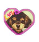 cute dog reon（個別スタンプ：7）