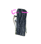 AKITAINU KOTAROU（個別スタンプ：2）