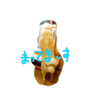 AKITAINU KOTAROU（個別スタンプ：7）