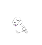 毎日！うさぎさんショー（個別スタンプ：16）