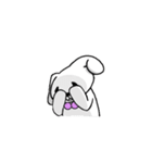 毎日！うさぎさんショー（個別スタンプ：22）