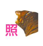 六郎〜六郎日記〜696（個別スタンプ：13）