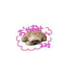 ゆっけスタンプ（個別スタンプ：16）