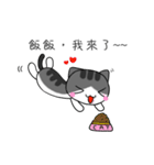 The gray Kitten（個別スタンプ：1）