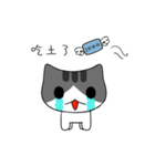 The gray Kitten（個別スタンプ：3）