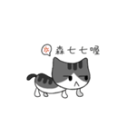 The gray Kitten（個別スタンプ：7）