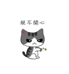 The gray Kitten（個別スタンプ：8）