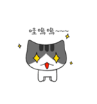 The gray Kitten（個別スタンプ：9）
