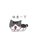The gray Kitten（個別スタンプ：10）