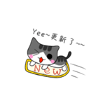 The gray Kitten（個別スタンプ：11）