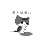 The gray Kitten（個別スタンプ：12）