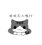 The gray Kitten（個別スタンプ：13）