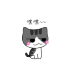 The gray Kitten（個別スタンプ：14）