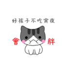 The gray Kitten（個別スタンプ：20）