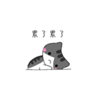 The gray Kitten（個別スタンプ：21）