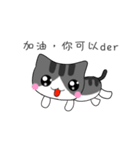 The gray Kitten（個別スタンプ：24）