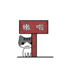 The gray Kitten（個別スタンプ：30）