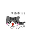 The gray Kitten（個別スタンプ：32）