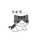 The gray Kitten（個別スタンプ：33）