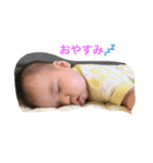 ひなころ（個別スタンプ：1）